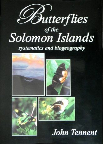 solomon